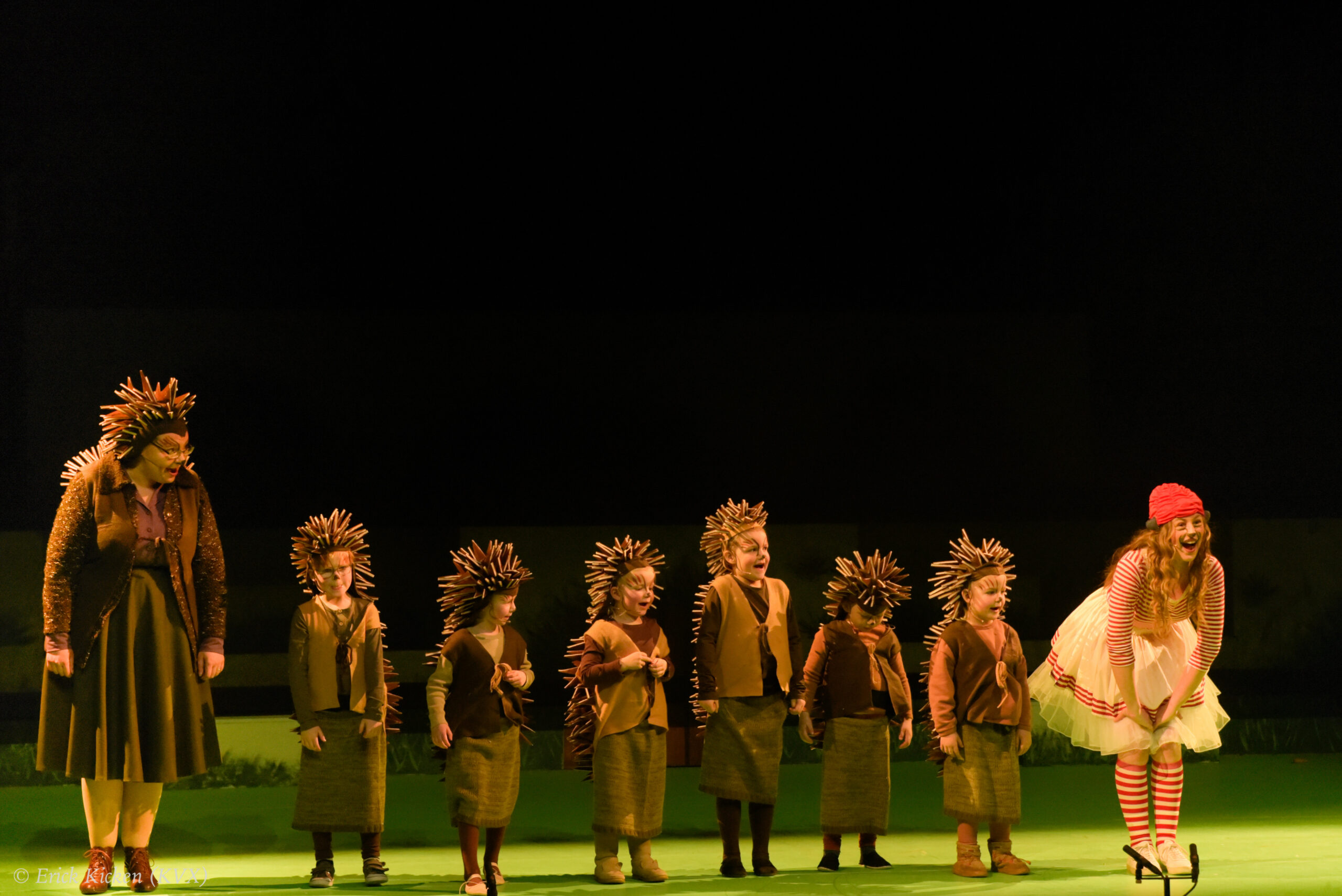 Recensie Musical "Wind in de Wilgen" RJT Musicals (Rijswijks